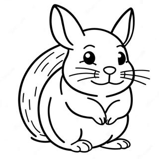 Chinchilla Farglaggningssida 23702-18716